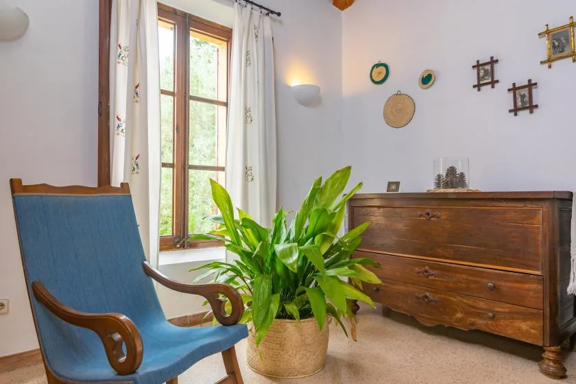 A bright sitting room with a blue armchair, leafy plant, and wooden dresser.