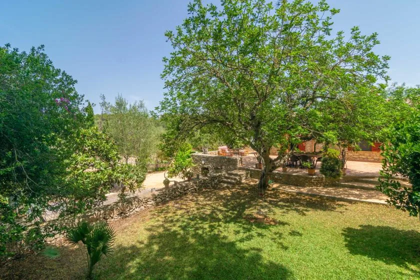 A leafy garden with a large shade tree and a stone path.