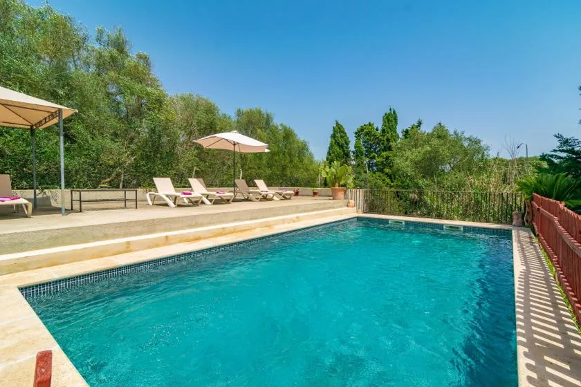 An outdoor swimming pool beside a paved deck with loungers and umbrellas.