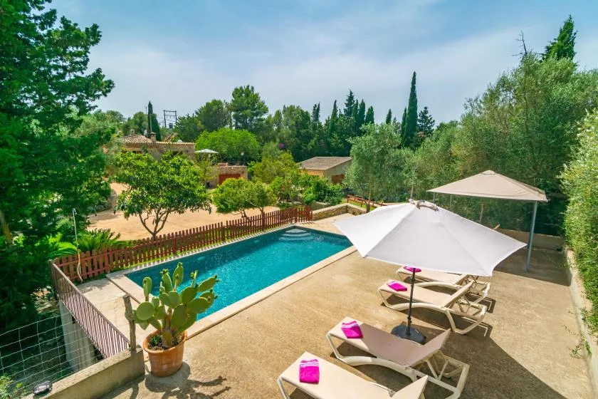 An outdoor swimming pool is surrounded by a deck, loungers, and leafy trees.