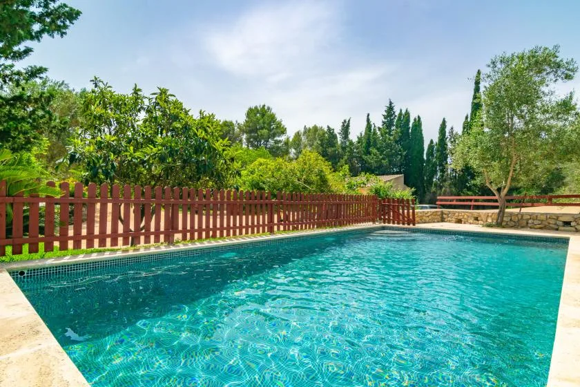 A swimming pool sits beside a wooden fence and leafy trees.