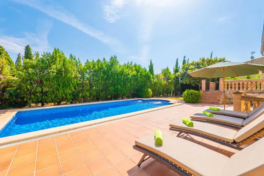 Un patio soleado junto a la piscina, con tumbonas y agua azul.