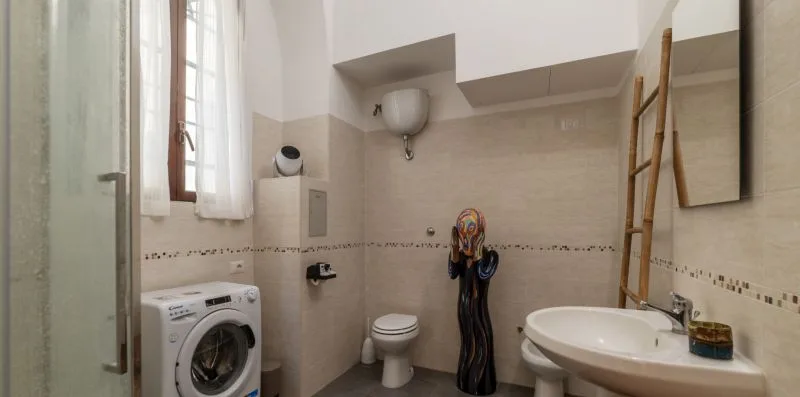 Un baño con lavadora, inodoro y lavabo.