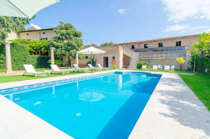 An outdoor swimming pool sits beside a paved patio and garden seating.