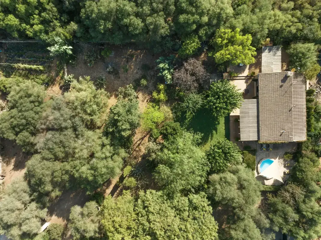 Vista aérea de una casa rodeada de árboles y vegetación frondosa.