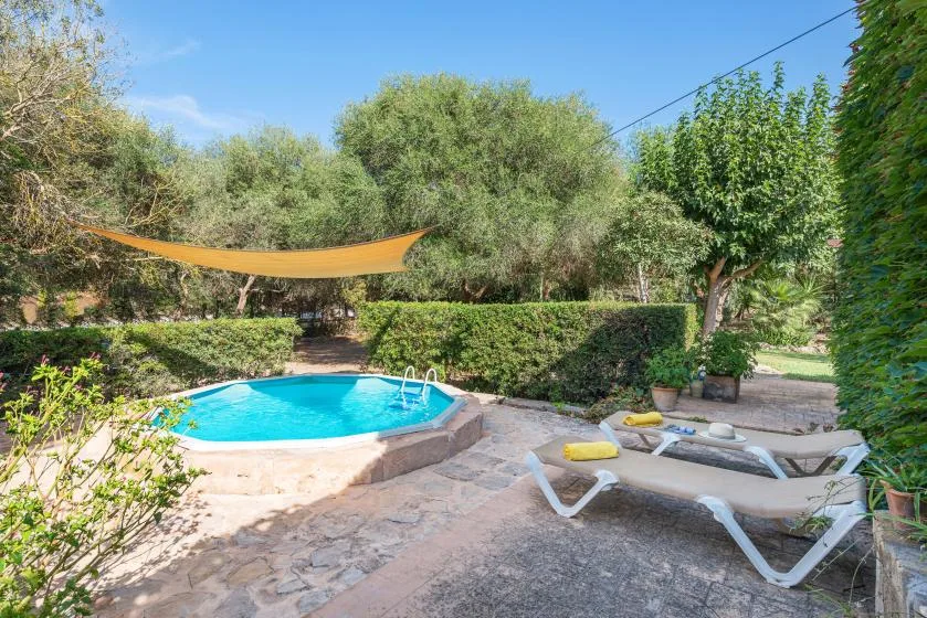 An outdoor pool sits beside a stone patio, greenery, and lounge seating.