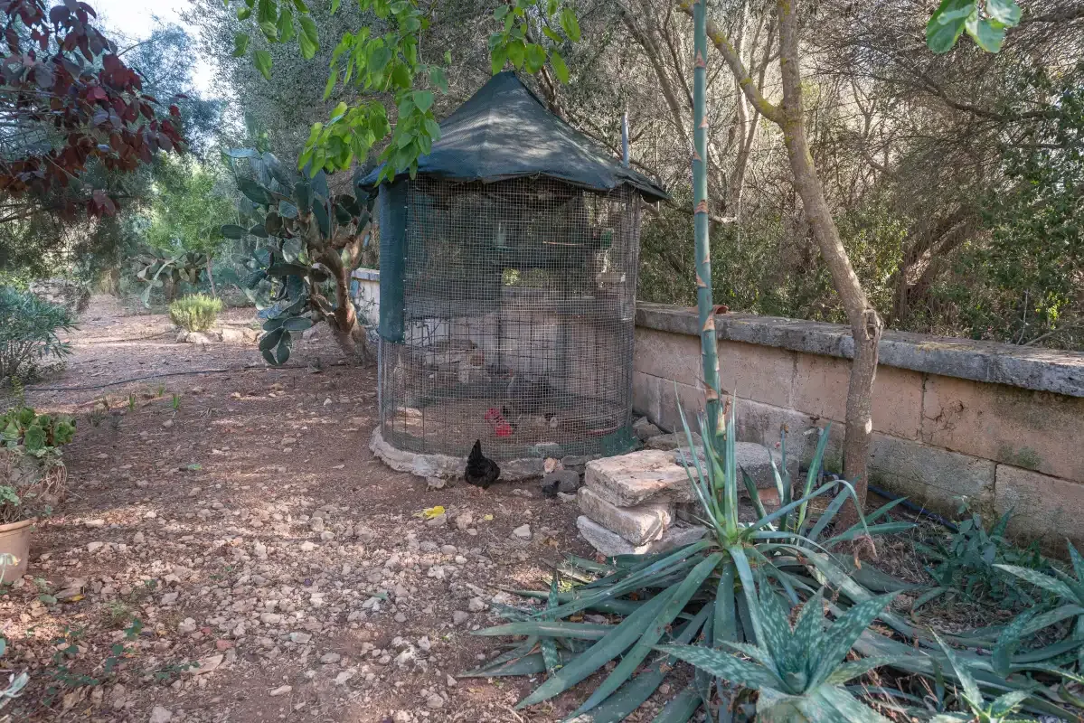 Un sendero de jardín pasa junto a un recinto de malla bajo árboles frondosos.