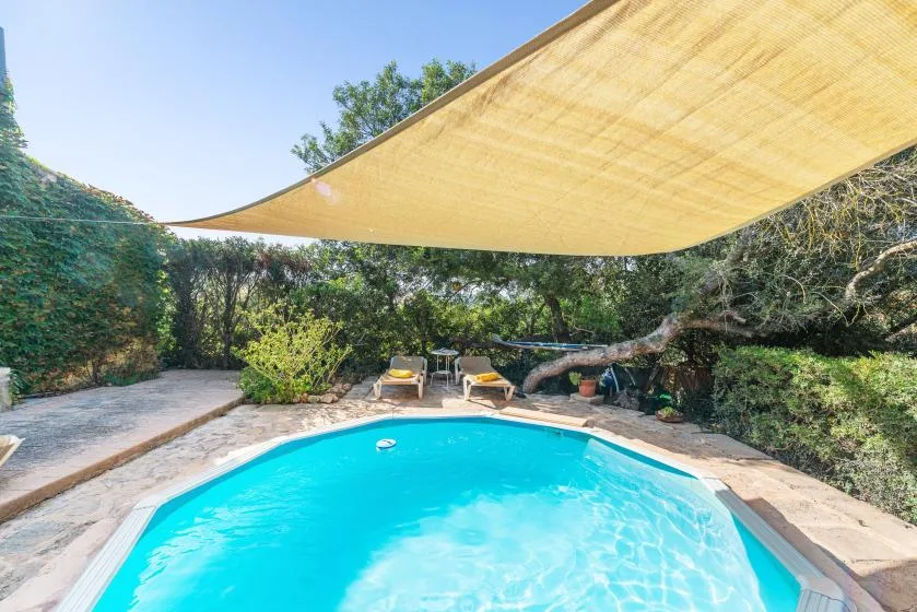 An outdoor swimming pool sits beneath a large shade canopy, surrounded by greenery.