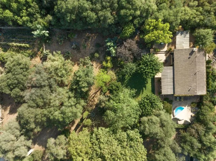 Vista aérea de una casa con una pequeña piscina rodeada de árboles y vegetación.