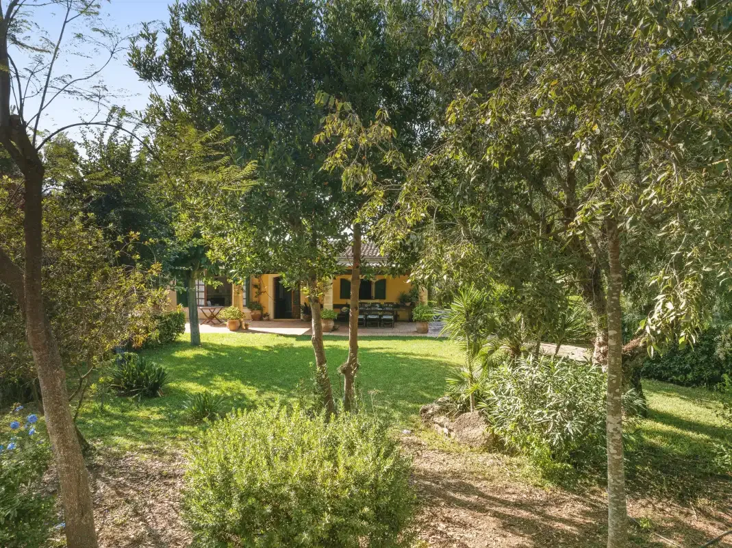 Un jardín con árboles y arbustos rodea una casa amarilla.