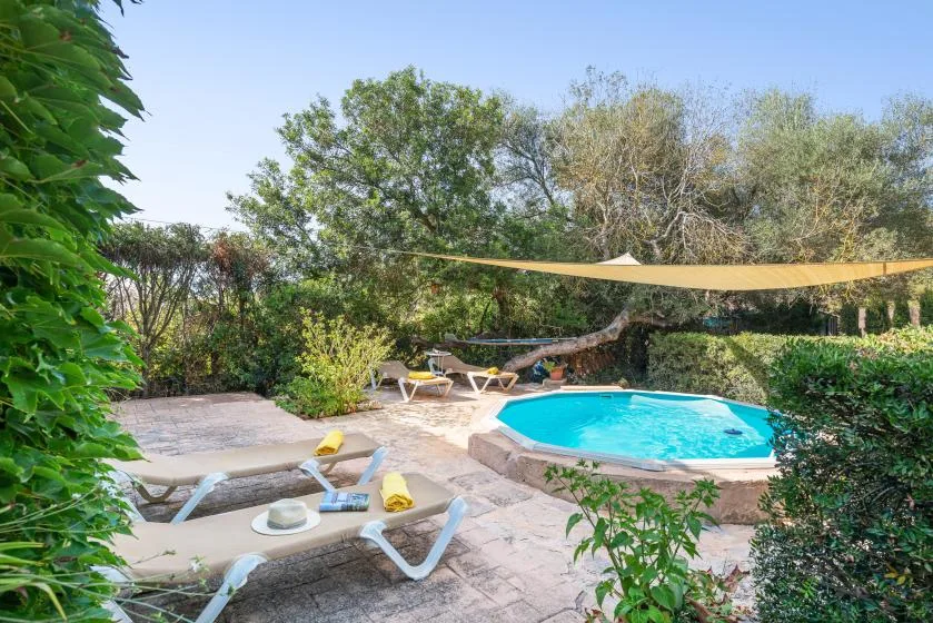 An outdoor swimming pool sits among trees, with lounge seating on the surrounding patio.