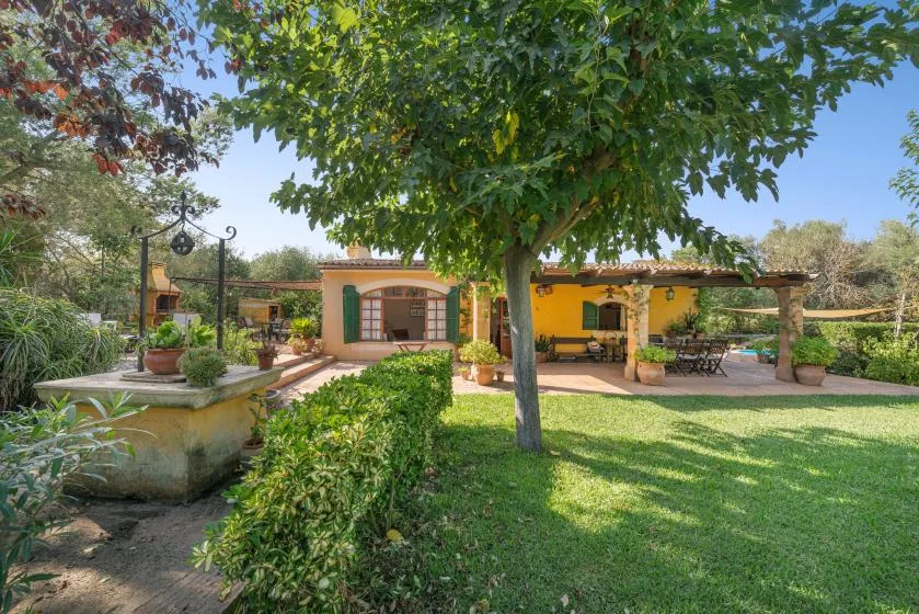 Un patio ajardinado con un árbol frondoso, césped, una fuente y edificios coloridos.