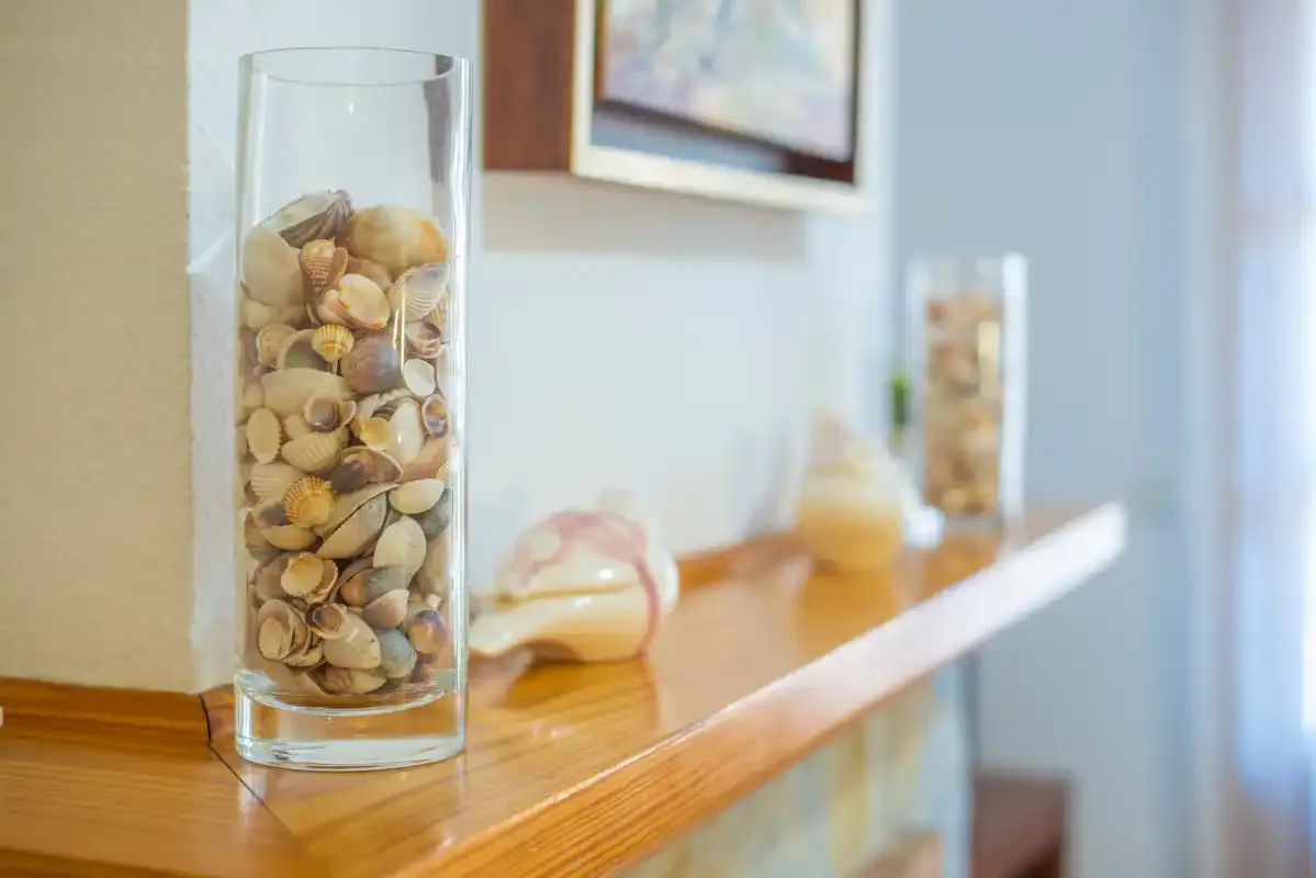 A wooden counter displays glass containers filled with seashells.