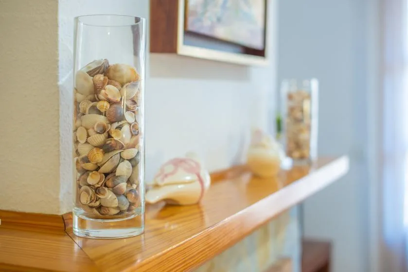 A wooden shelf displays glass containers filled with seashells.