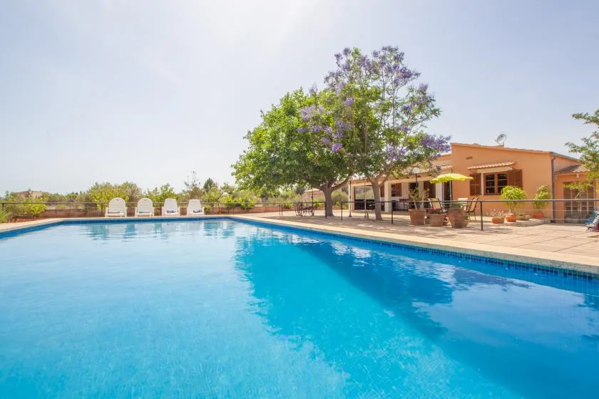 Una piscina al aire libre junto a un patio con asientos y un árbol en flor.