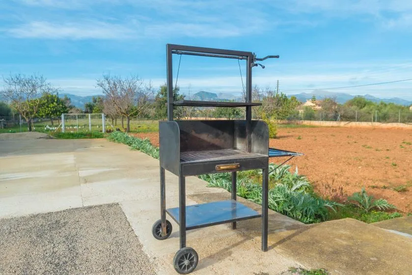 Una parrilla al aire libre está sobre un patio pavimentado junto a un jardín.