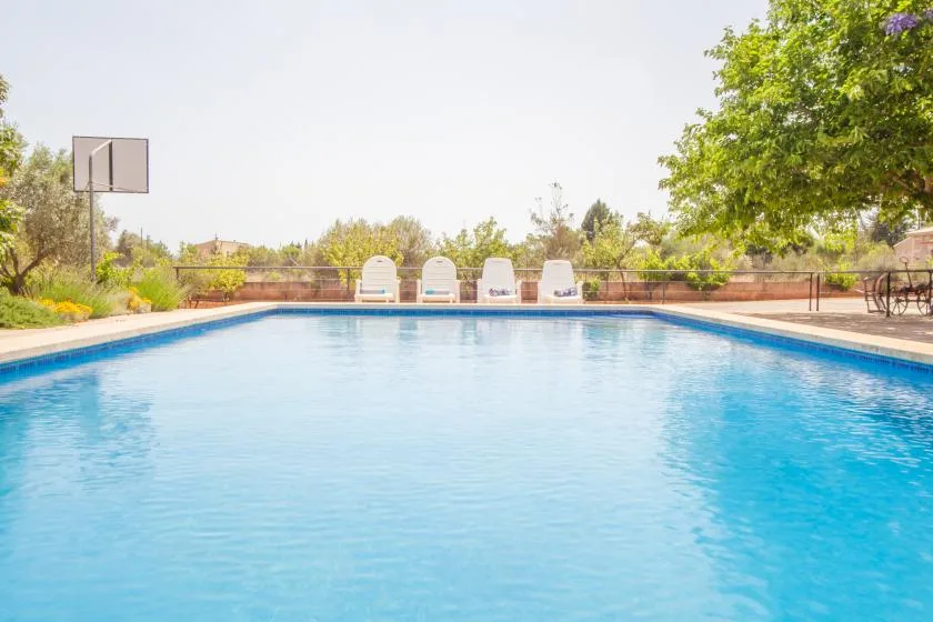 Una piscina al aire libre con tumbonas y árboles alrededor.