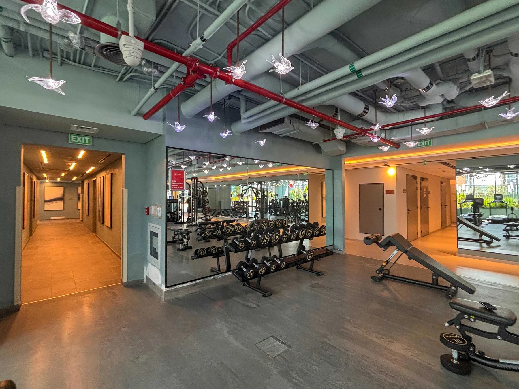 Un gimnasio con racks de pesas, bancos de ejercicio y paredes con espejos.