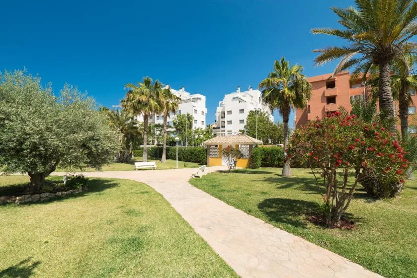 Un jardín ajardinado con un sendero curvo, palmeras y un pequeño cenador.