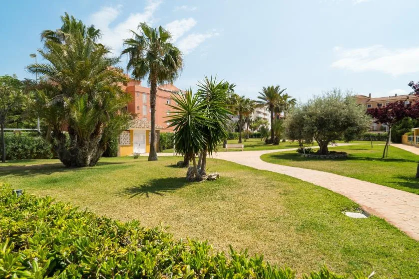 Un jardín ajardinado con palmeras y un camino pavimentado curvo.