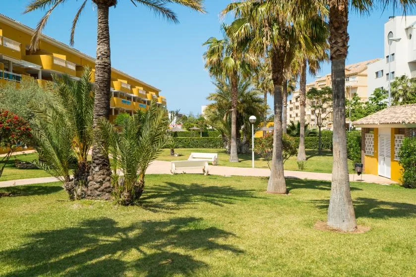 Un patio ajardinado con palmeras, césped verde y edificios de apartamentos.