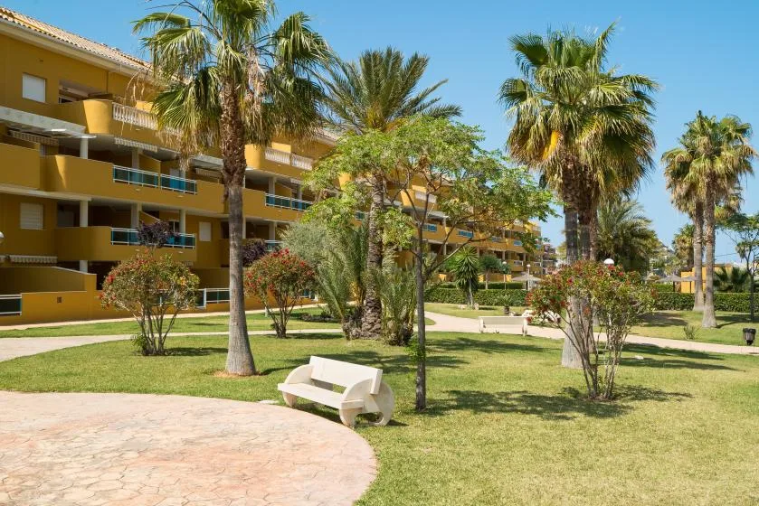 Un patio ajardinado con palmeras, césped y un camino pavimentado junto a un edificio amarillo.