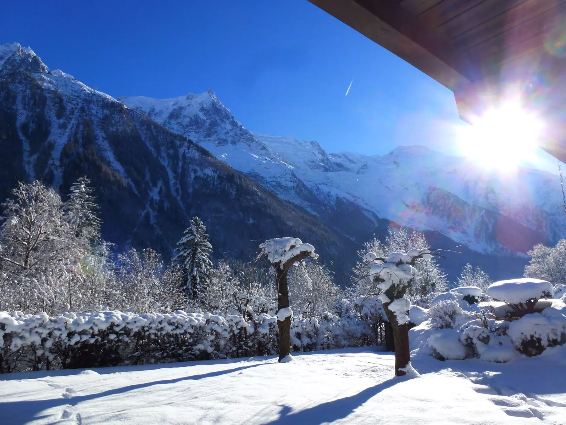 A snow-covered mountain landscape with trees and bright sunlight.