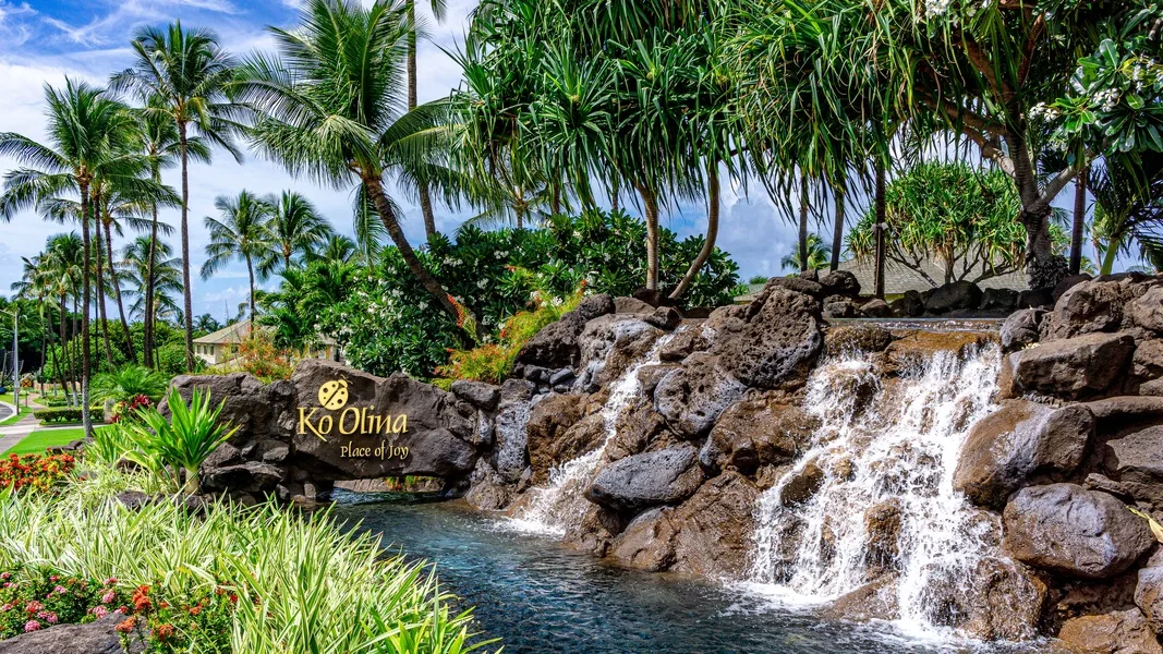 Una cascada de jardín tropical cae sobre rocas bajo palmeras.