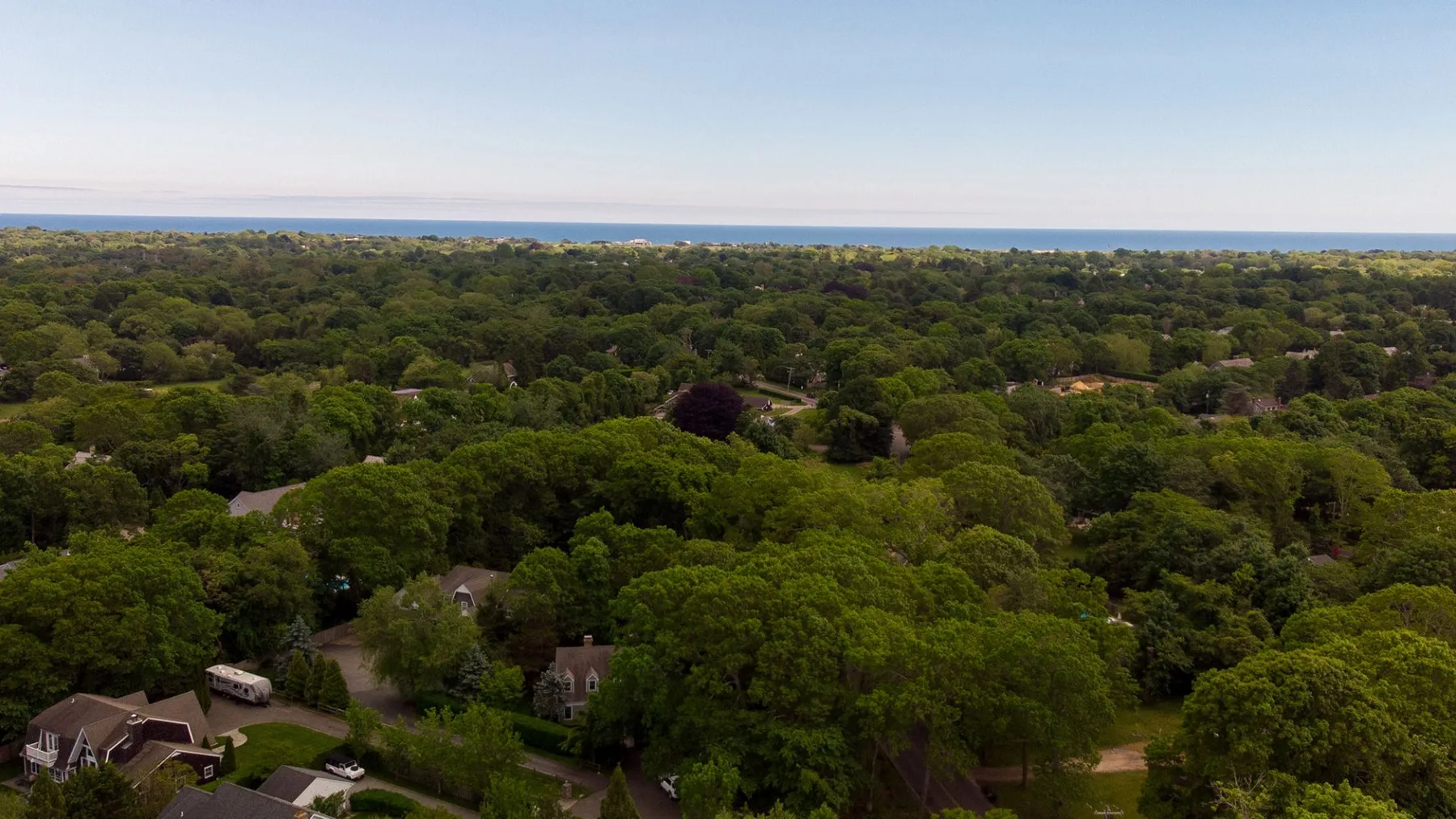 Aerial view of a wooded neighborhood with the ocean visible on the horizon.
