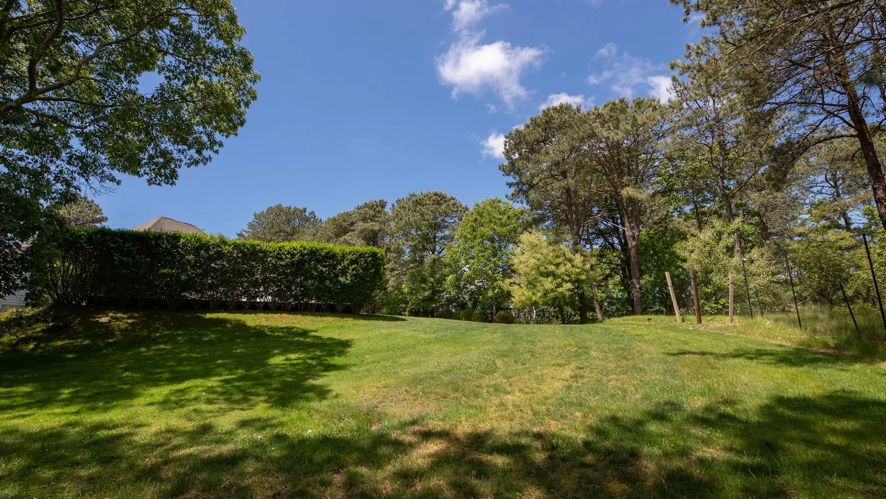A grassy lawn bordered by trees and a clipped hedge under a blue sky.