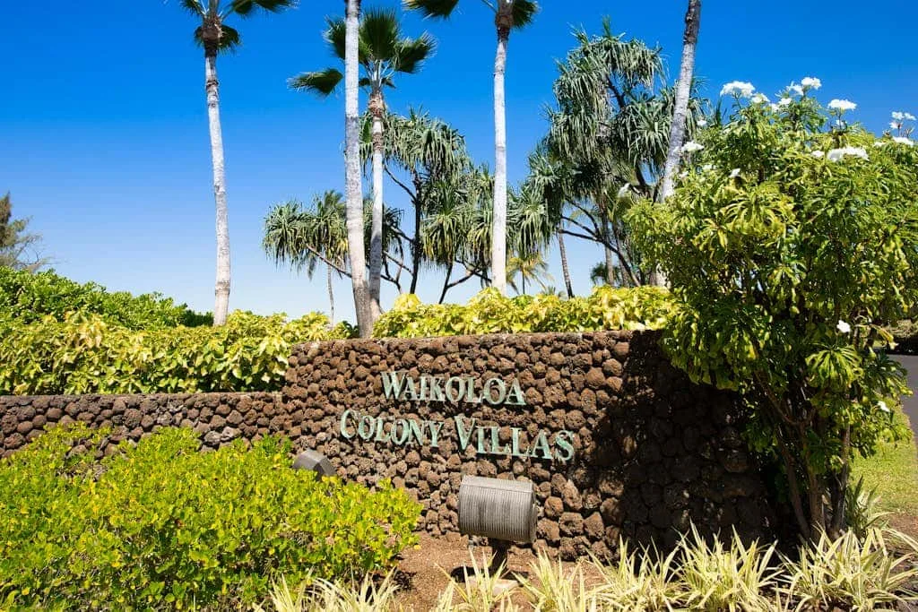 A stone entrance sign stands among tropical plants and palm trees.