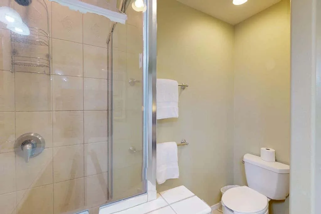 A bathroom with a tiled shower and toilet.