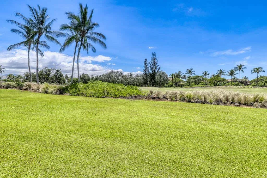 A broad grassy lawn bordered by tropical plants and palm trees under a blue sky.
