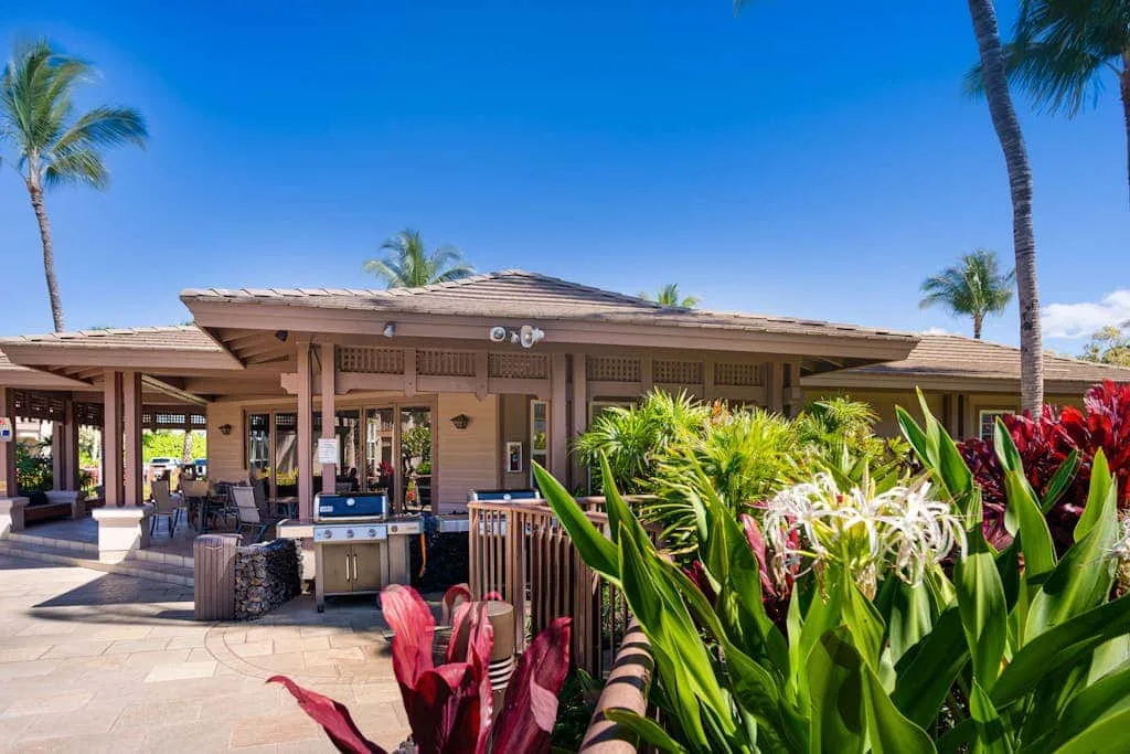 A low-rise building with a shaded patio and tropical plants.