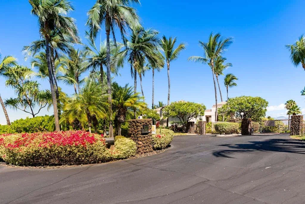 A paved entrance bordered by palm trees, shrubs, and flowering bushes.