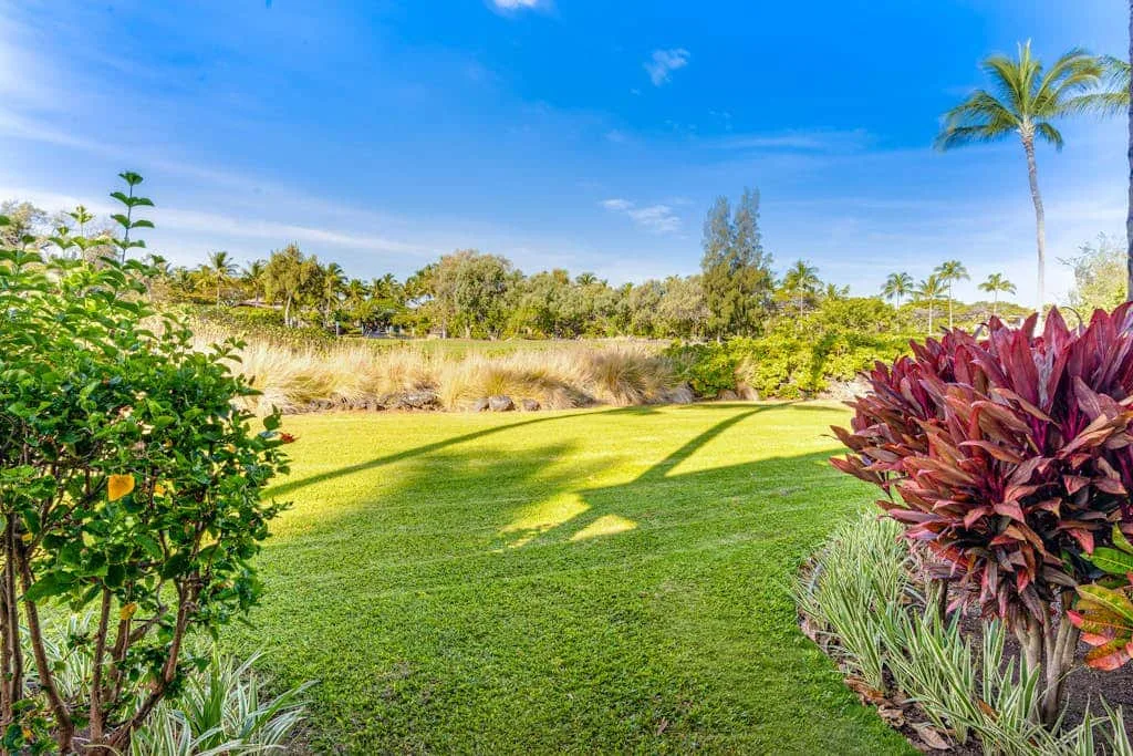 A landscaped garden with a green lawn, shrubs, and a palm tree.