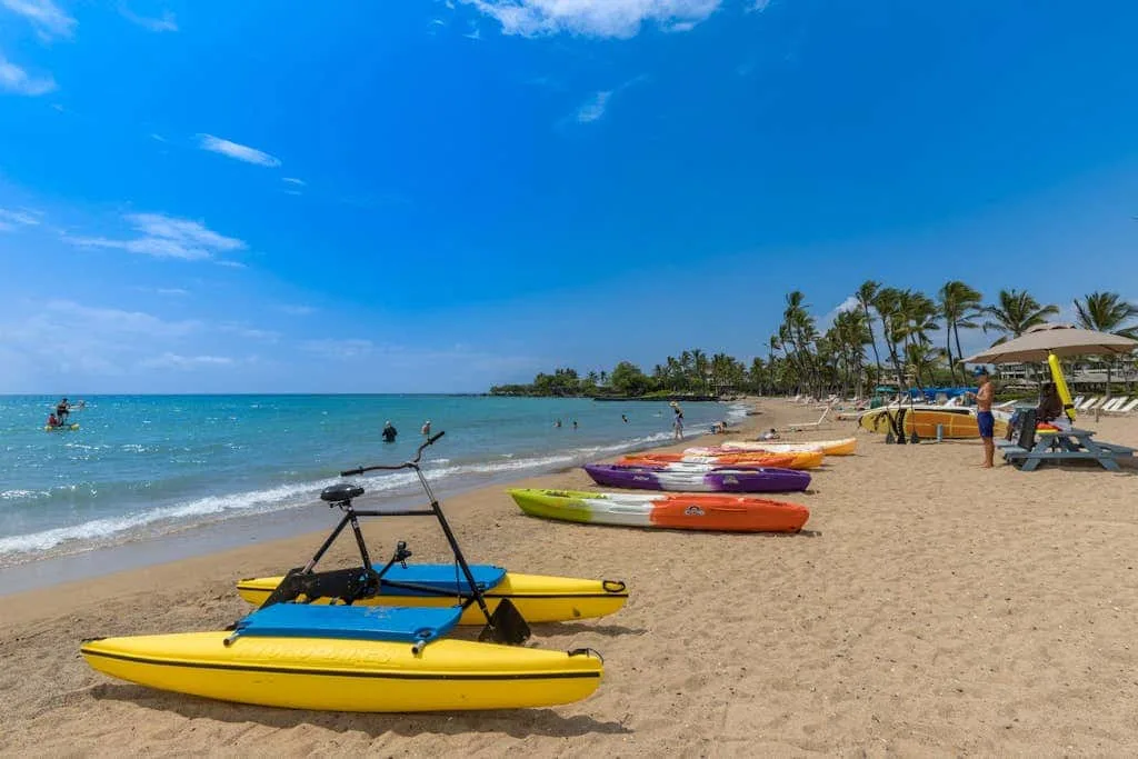 Kayaks rest on a sandy beach beside the blue ocean.