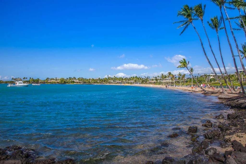 A tropical shoreline with palm trees, rocky water, and boats offshore.