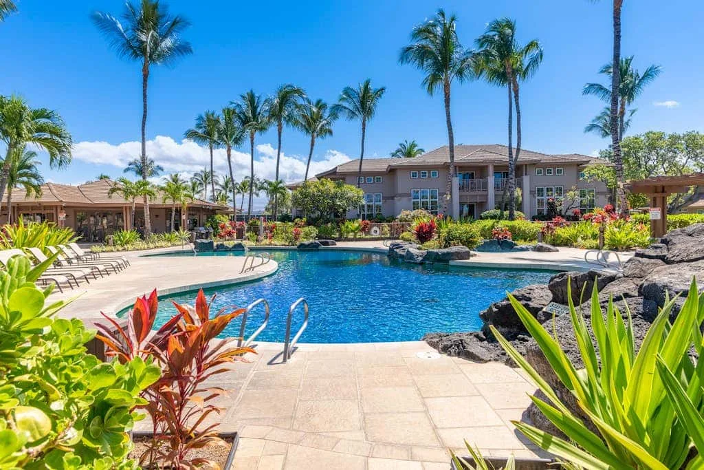 A landscaped outdoor swimming pool beside a sunny paved deck and palm trees.