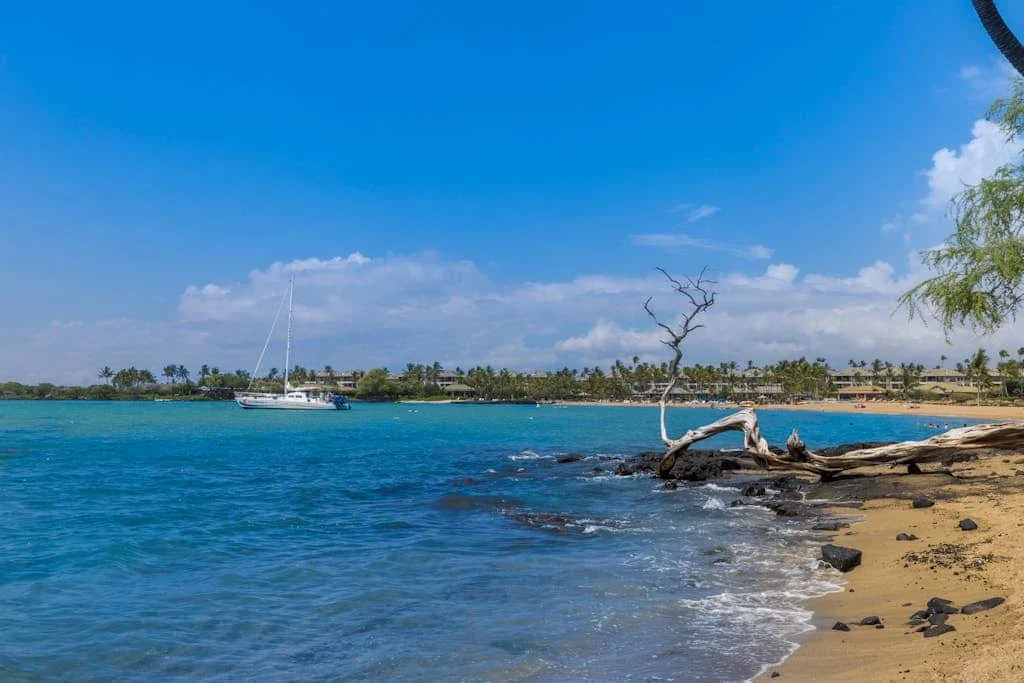 A sandy shoreline meets clear blue water, with a sailboat offshore.