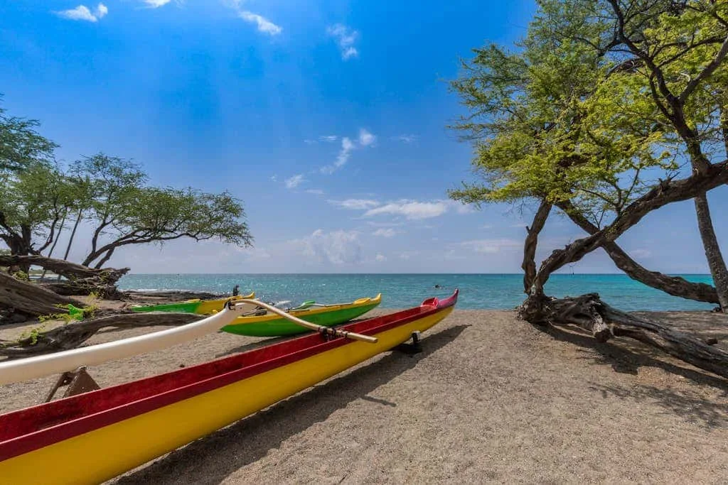 A sandy beach with colorful boats beneath trees beside the ocean.