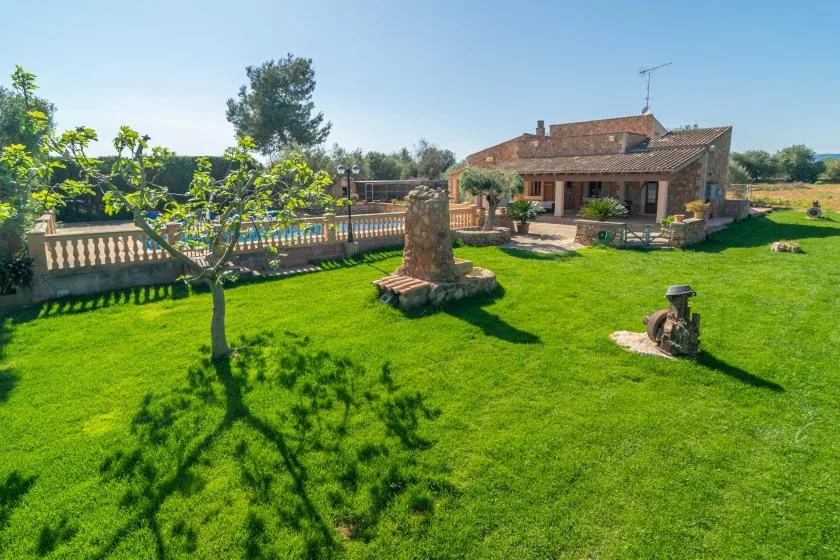 A sunny garden with a green lawn, trees, and a house in the background.