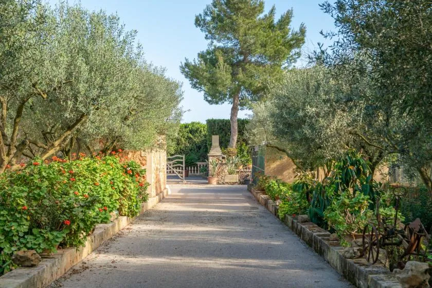 A garden path runs between flowering shrubs and trees toward a gated entrance.