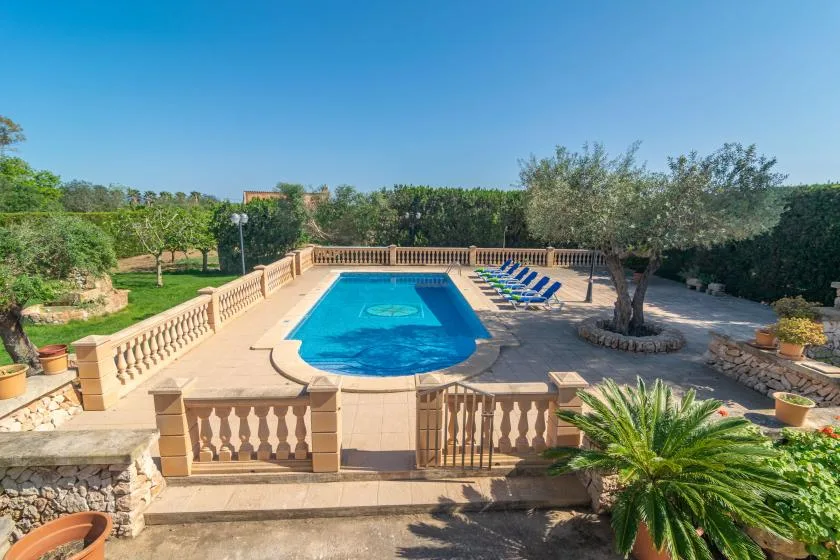 An outdoor swimming pool is surrounded by a paved terrace, lounge chairs, and trees.