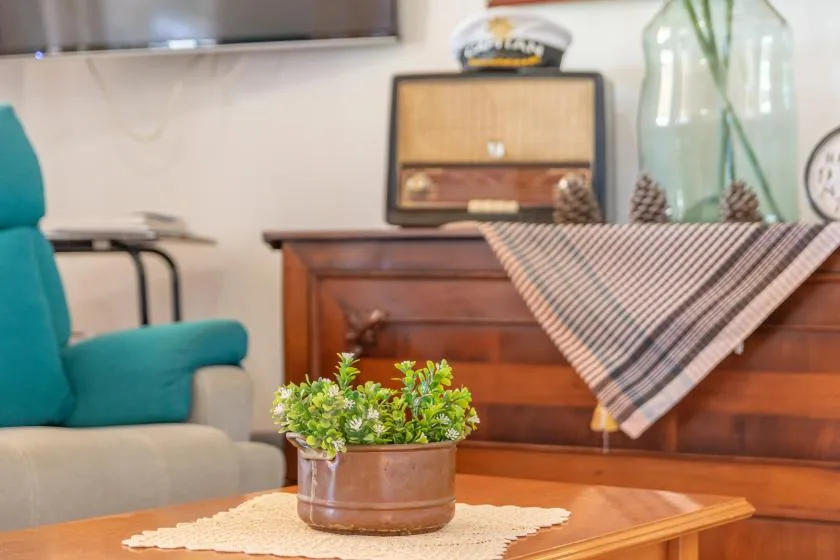 A living room with a wooden coffee table and a small potted plant.