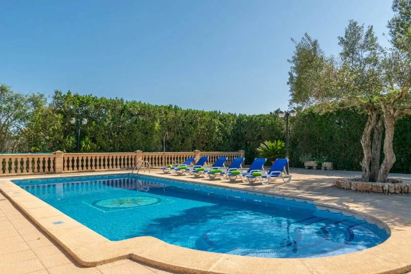 Outdoor pool area with blue loungers beside the water.