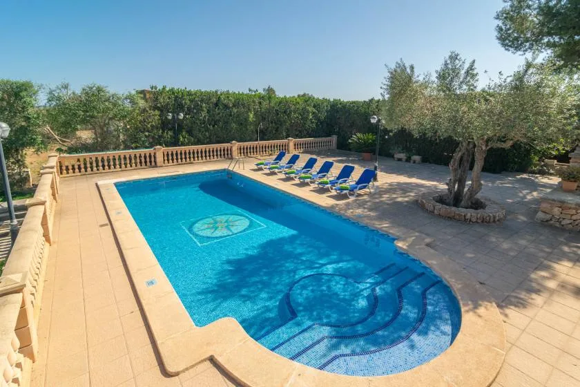 An outdoor swimming pool with lounge chairs arranged along the paved deck.