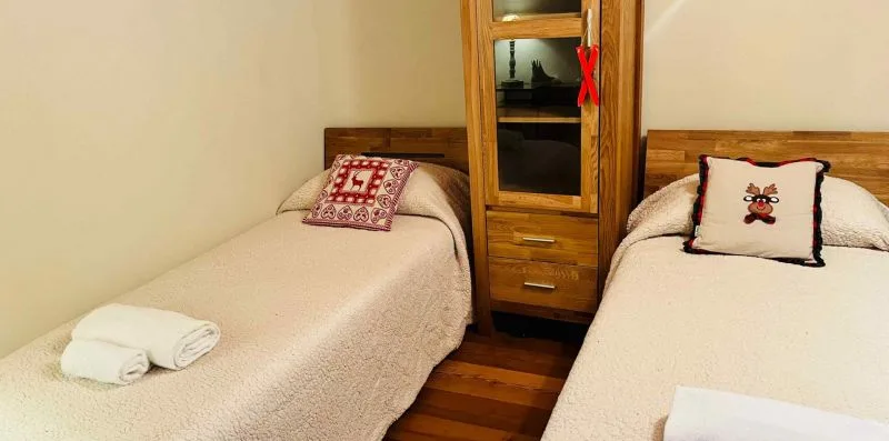 A bedroom with two single beds and a wooden cabinet between them.