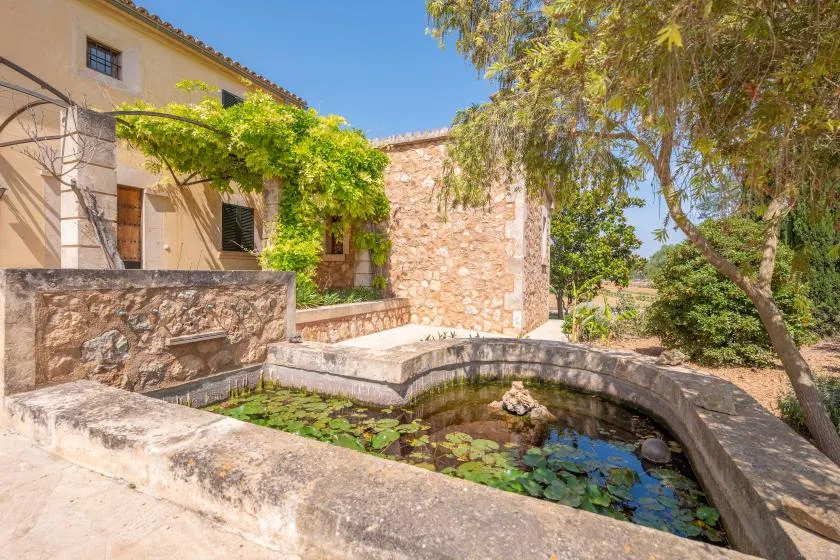 Un patio de piedra tiene un pequeño estanque con nenúfares junto a un edificio soleado.
