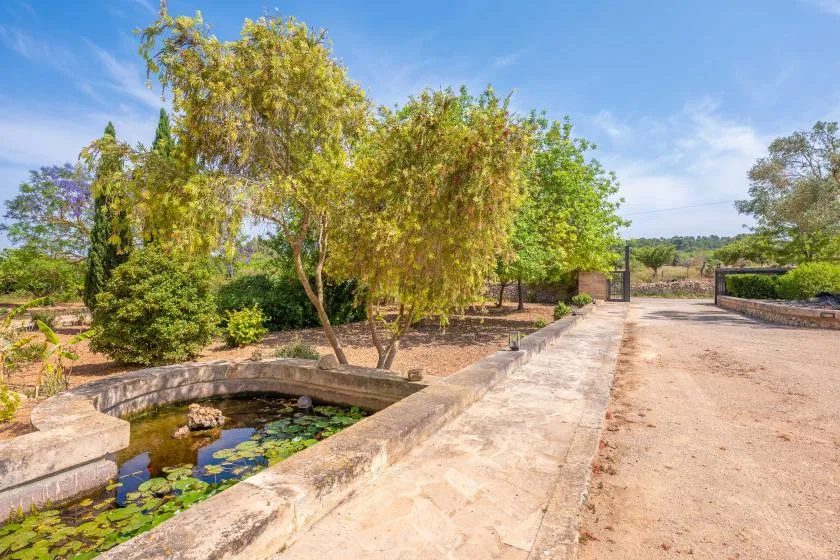 Un sendero ajardinado cruza un pequeño estanque bajo árboles frondosos.